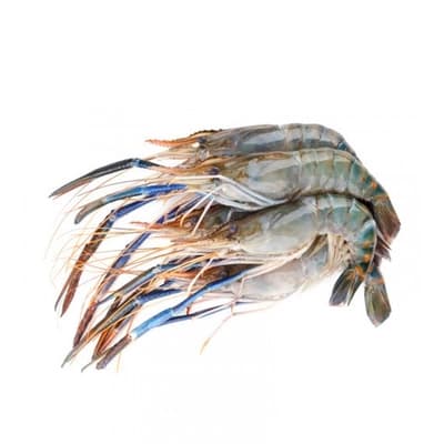 FG กุ้งแม่น้ำแช่แข็ง 6-7ตัว/กก.